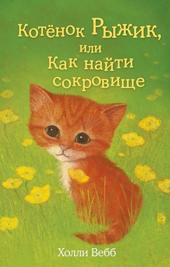 Обложка книги "Котёнок Рыжик, или Как найти сокровище"