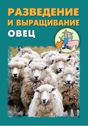 Обложка книги "Разведение и выращивание овец"