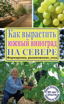 Обложка книги "Как вырастить южный виноград на севере"