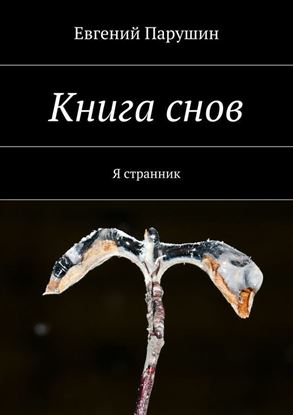 Обложка книги "Книга снов"