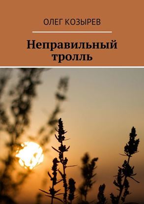 Обложка книги "Неправильный тролль"