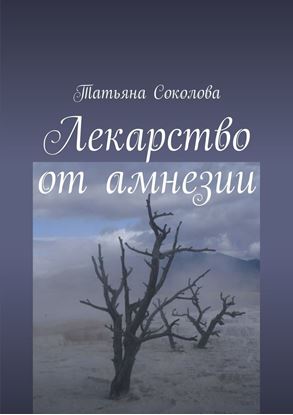 Обложка книги "Лекарство от амнезии"