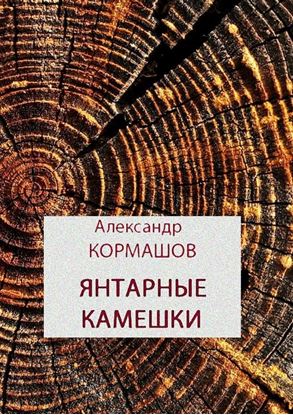 Обложка книги "Янтарные камешки"