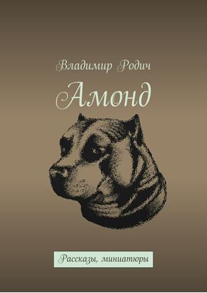 Обложка книги "Амонд"