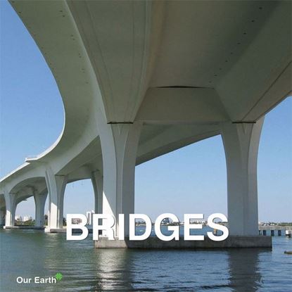 Обложка книги "Bridges"