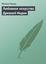 Обложка книги "Любовное искусство Древней Индии"