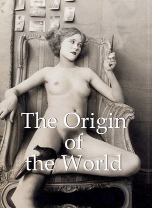 Обложка книги "The Origin of the World"