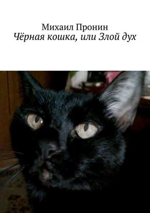 Обложка книги "Чёрная кошка, или Злой дух"