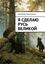 Обложка книги "Я сделаю Русь великой. Фэнтези"