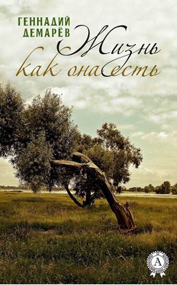 Обложка книги "Жизнь как она есть"