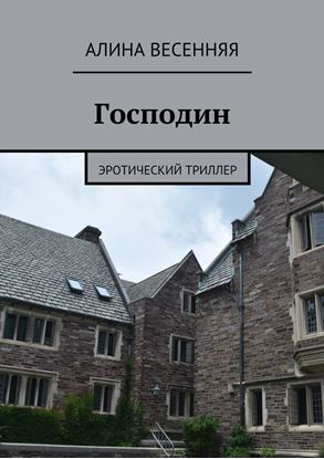 Обложка книги "Господин. Эротический триллер"