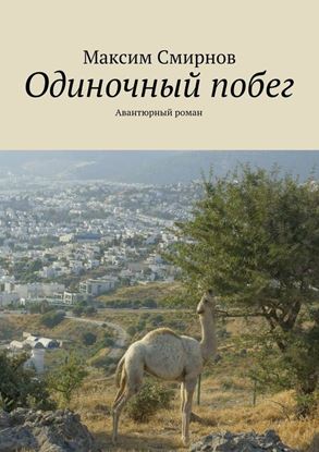 Обложка книги "Одиночный побег. Авантюрный роман"