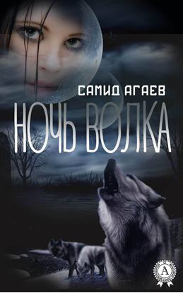 Обложка книги "Ночь Волка"