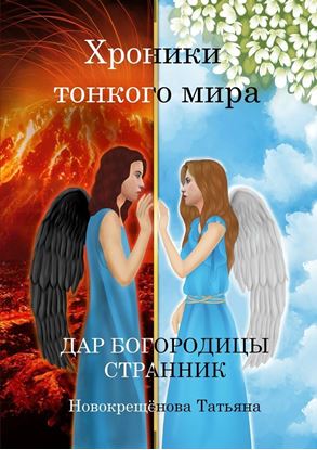 Обложка книги "Хроники тонкого мира. Дар Богородицы. Странник"