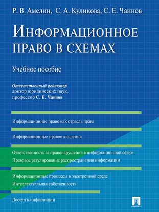 Обложка книги "Информационное право в схемах. Учебное пособие"