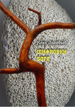 Обложка книги "ШИФРОВКИ БОГА"