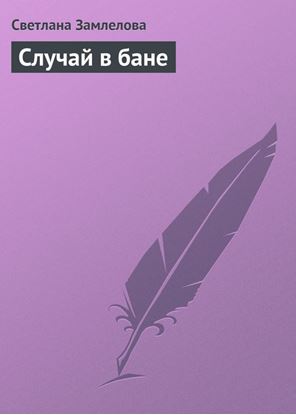 Обложка книги "Случай в бане"