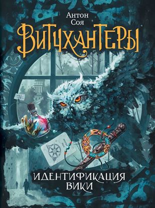 Обложка книги "Идентификация Вики"
