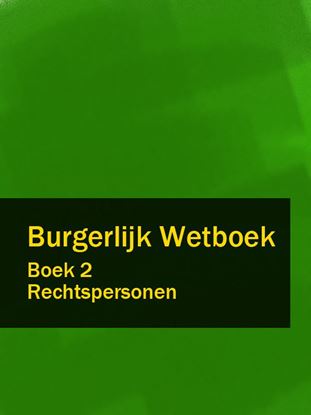 Обложка книги "Burgerlijk Wetboek boek 2"