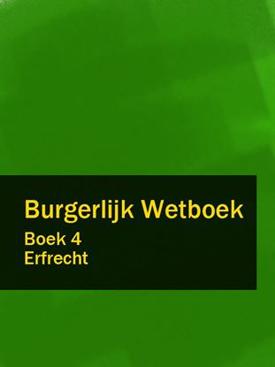 Обложка книги "Burgerlijk Wetboek boek 4"