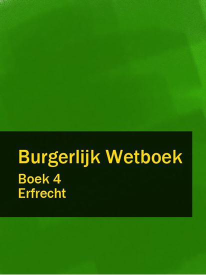 Обложка книги "Burgerlijk Wetboek boek 4"