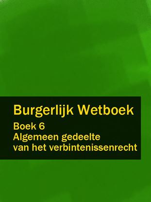 Обложка книги "Burgerlijk Wetboek boek 6"