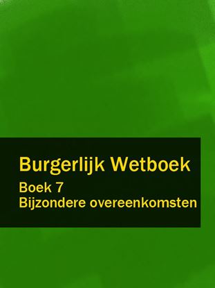Обложка книги "Burgerlijk Wetboek boek 7"