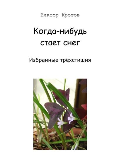 Обложка книги "Когда-нибудь стает снег. Избранные трёхстишия"