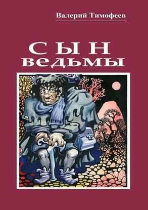 Обложка книги "Сын ведьмы. Волшебная сказка"