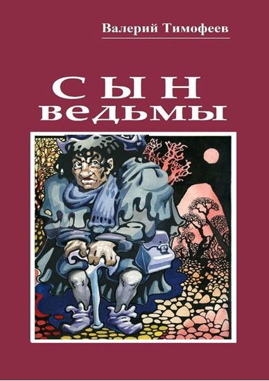 Обложка книги "Сын ведьмы. Волшебная сказка"