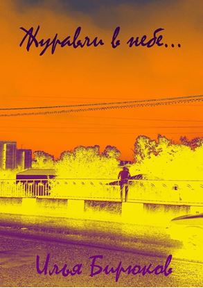 Обложка книги "Журавли в небе…"