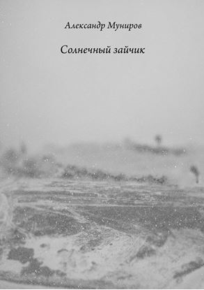 Обложка книги "Солнечный зайчик"