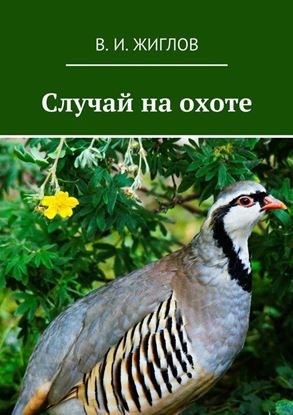 Обложка книги "Случай на охоте"