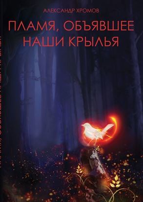 Обложка книги "Пламя, объявшее наши крылья"