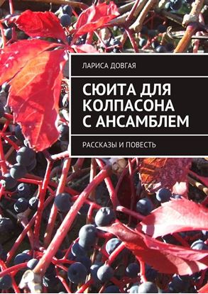 Обложка книги "Сюита для колпасона с ансамблем. Рассказы и повесть"