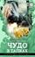 Обложка книги "Чудо в тапках"