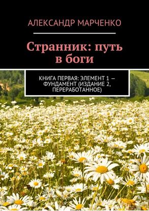 Обложка книги "Странник: путь в боги. Книга первая: элемент 1 – фундамент (издание 2, переработанное)"