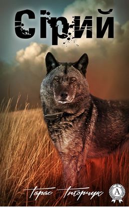 Обложка книги "Сірий"