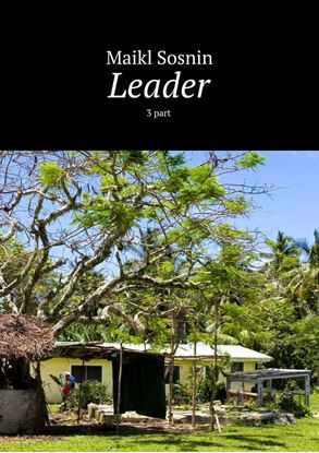 Обложка книги "Leader. 3 part"
