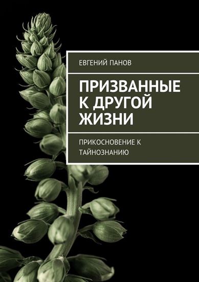 Обложка книги "Призванные к другой жизни. Прикосновение к тайнознанию"