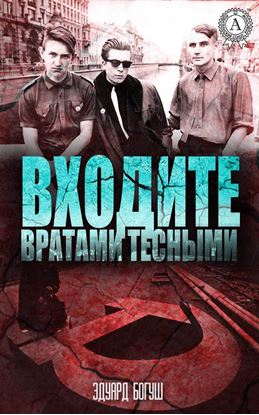 Обложка книги "Входите вратами тесными"