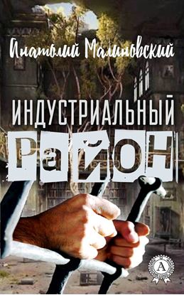 Обложка книги "Индустриальный район"
