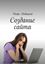 Обложка книги "Создание сайта"