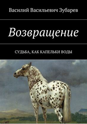 Обложка книги "Возвращение. Судьба, как капельки воды"