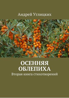 Обложка книги "Осенняя облепиха. Вторая книга стихотворений"