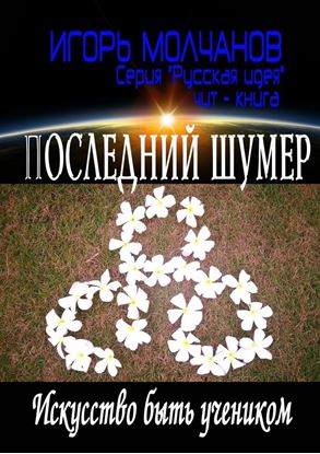 Обложка книги "Последний Шумер. Искусство быть учеником"