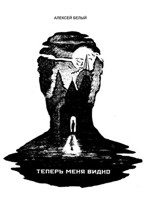 Обложка книги "Теперь меня видно"