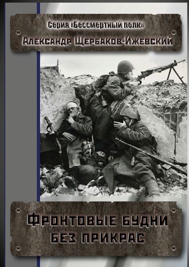 Обложка книги "Фронтовые будни без прикрас. Серия «Бессмертный полк»"