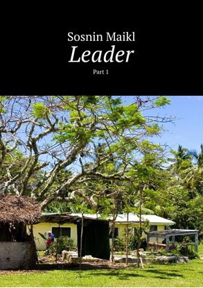 Обложка книги "Leader. Part 1"