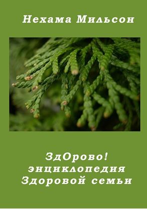 Обложка книги "ЗдОрово! Энциклопедия здоровой семьи"